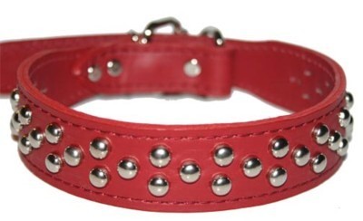 red-stud-collar